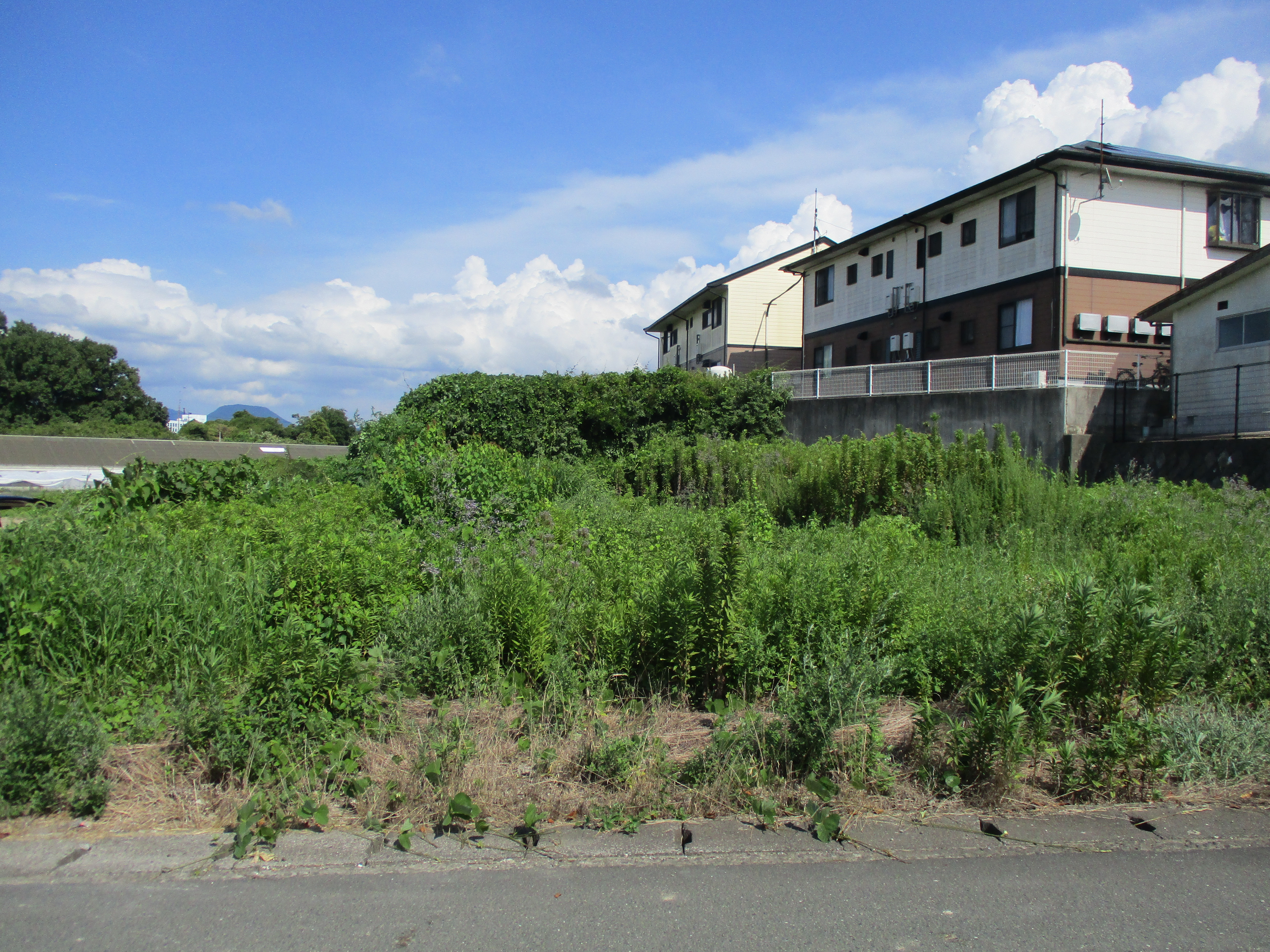 物件イメージ01